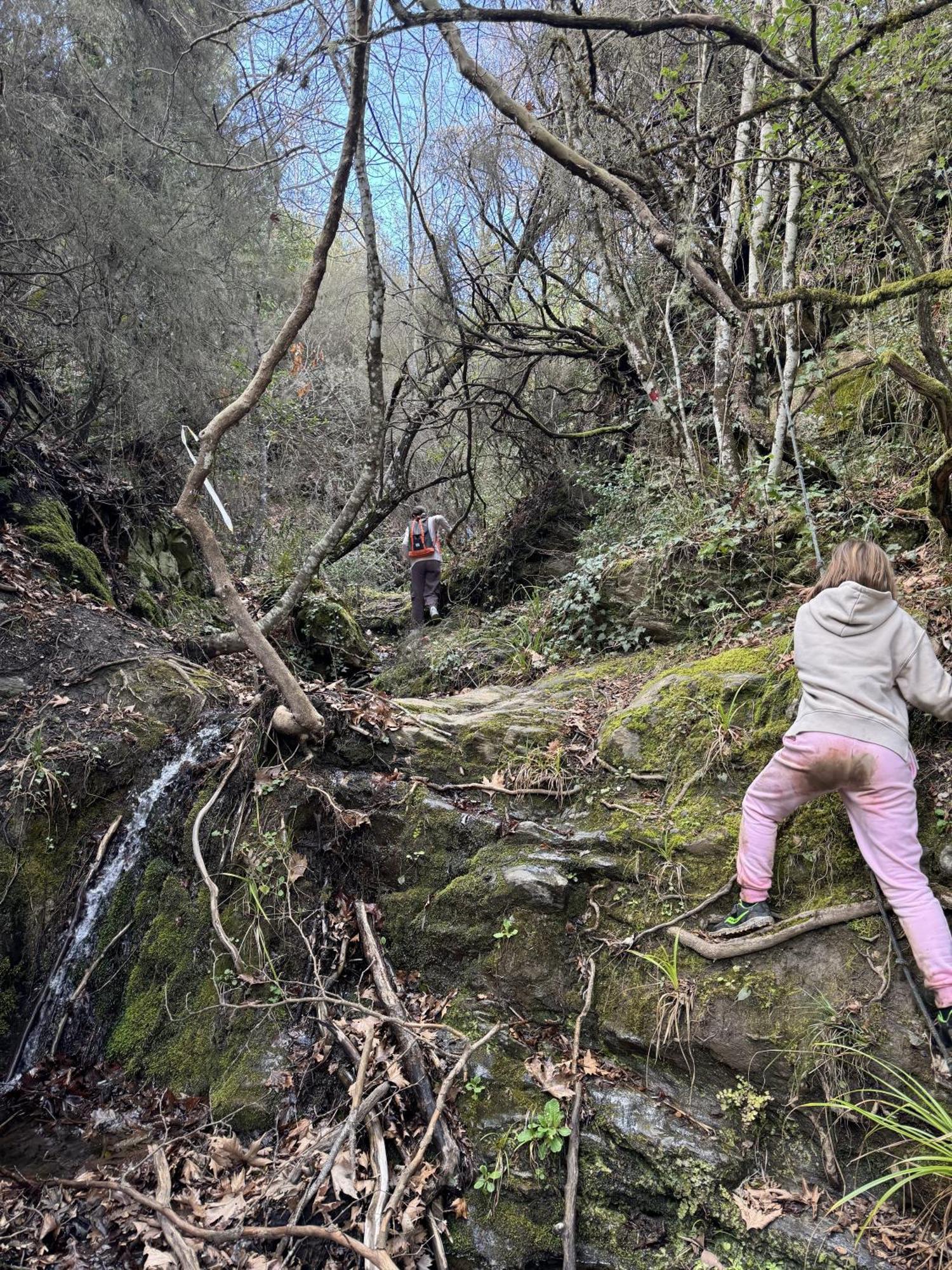 Foresta In Medias Mores Tripoli Exteriör bild