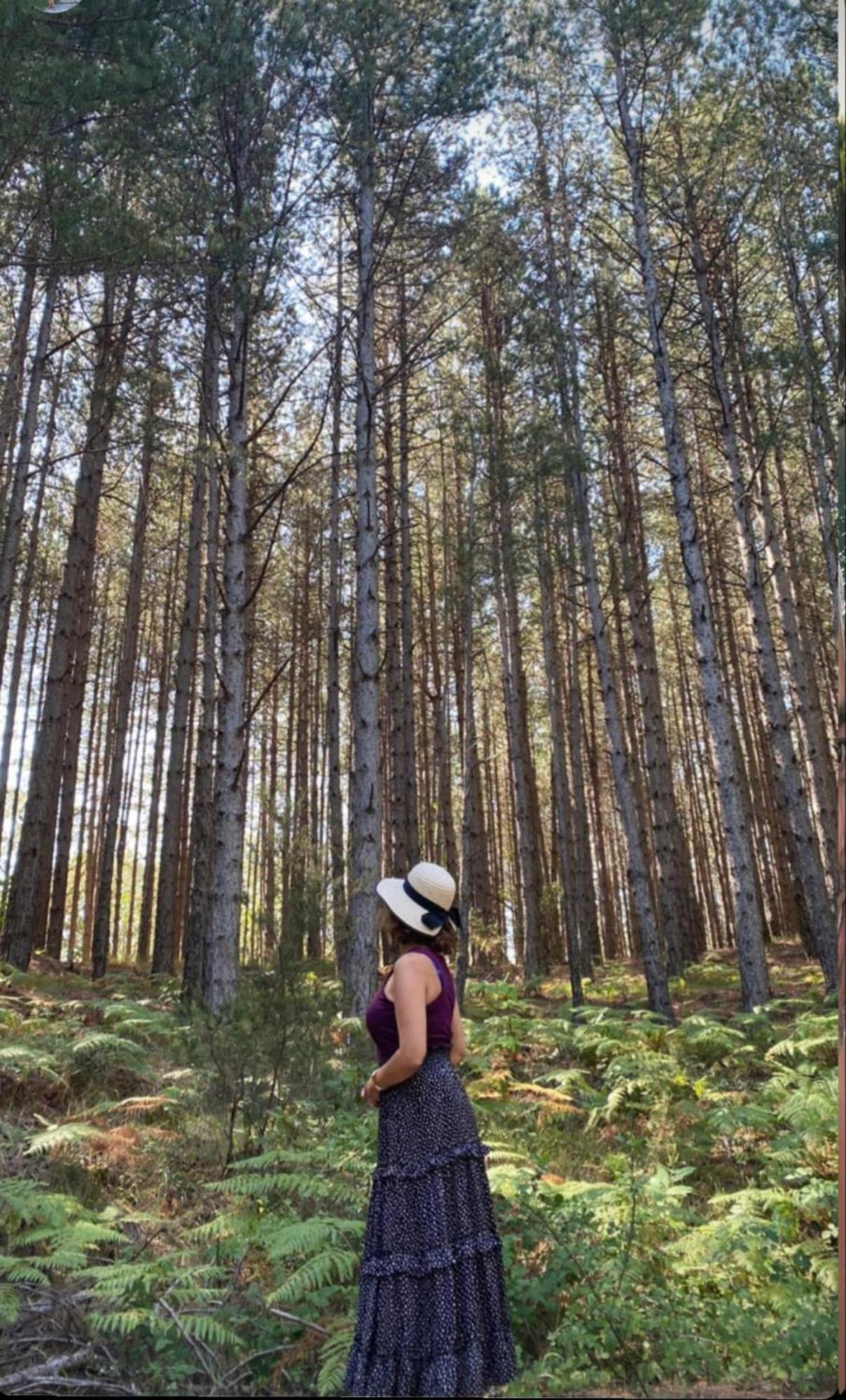 Foresta In Medias Mores Tripoli Exteriör bild