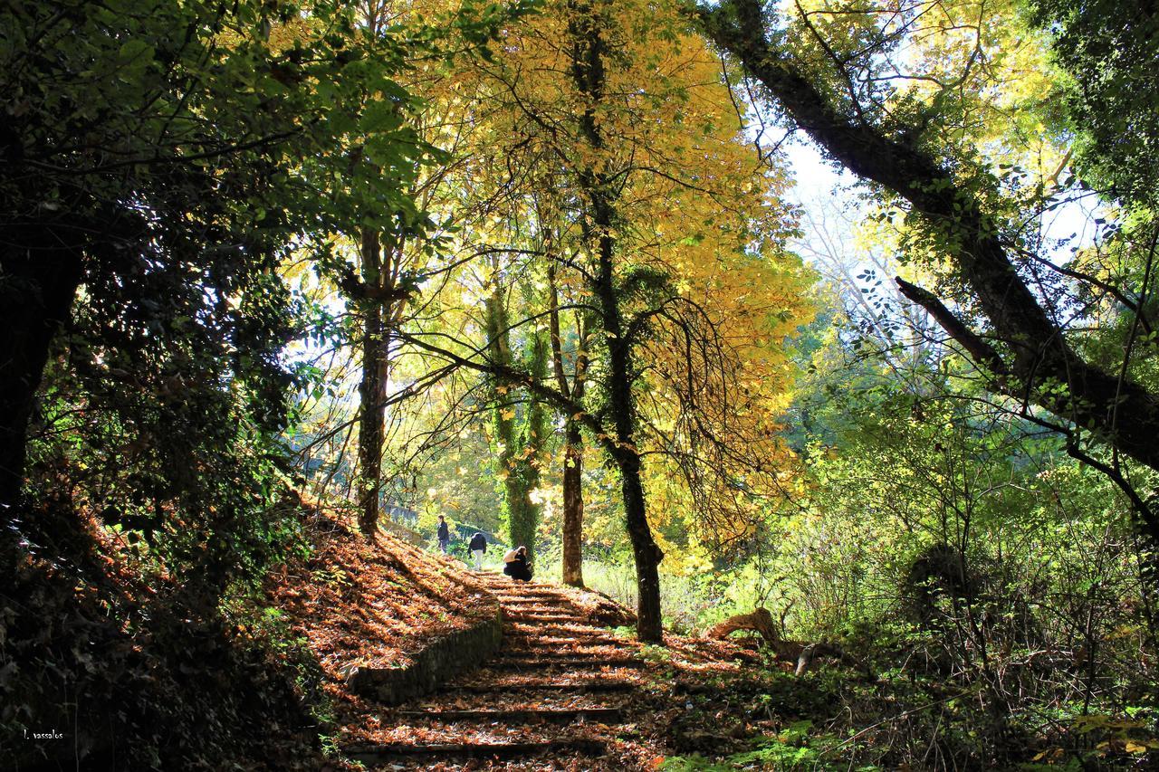Foresta In Medias Mores Tripoli Exteriör bild